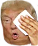 trumpsweat