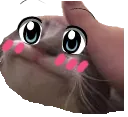 FeelsPettedweeb