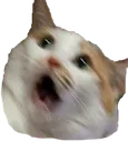 woooooo