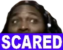 ScaredWoolie