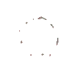 ppAppear