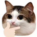 mowthink
