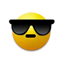 VRC_Sunglasses