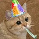 Starepartycat