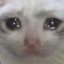 Catto catto Discord Emoji