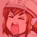 AAAA