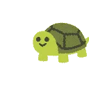 partyturt