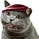 Meowstro Meowstro
