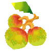 lychee Discord emoji