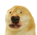 :dug: Discord Emote