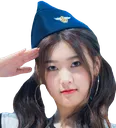 choerrysalute