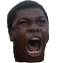 finnshout