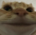 :aight: Discord Emote