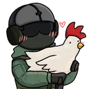 chicken chicken