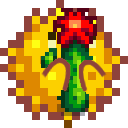 SDVpuffercactus