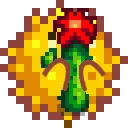 SDVpuffercactus SDVpuffercactus