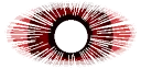 perceive