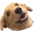 Wowee