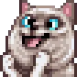 lirikCL