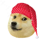 sleepydoge
