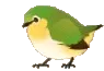 birdroll1