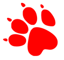 NDPaw