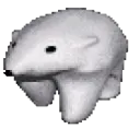polarbear