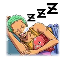 zoroSleeping