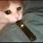 sadjuul