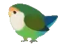birdroll3