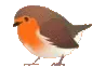 birdroll4