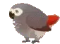 birdroll5