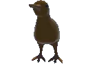 KiwiSpin