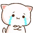 peachcry peachcry