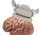 bhallaTinBrain