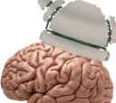 tinBrain2