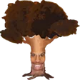 TreeHard