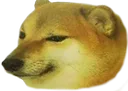 cheems