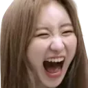chaeyeonlaugh chaeyeonlaugh