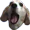 OhMyDog
