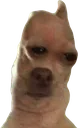 bruh