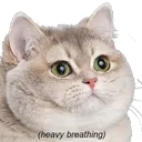 heavybreathing