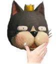 caitsiththink