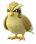 PidgeyShiny