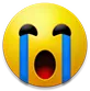 vrcCrying vrcCrying