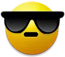 vrcSunglasses