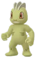 MachopShiny