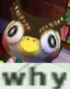 butwhy