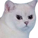MadCad