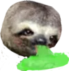 PukeSloth